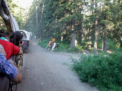 Jackson Hole - July 2010 (63).JPG